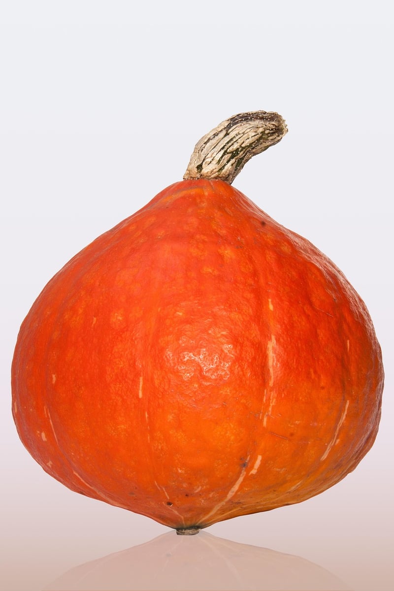 Fairy Tale Pumpkins